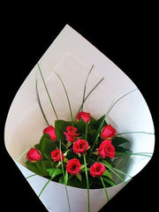 10 Long Stem Roses - select your colour $49