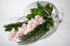 Exotic Orchid Bouquet - Premium $40