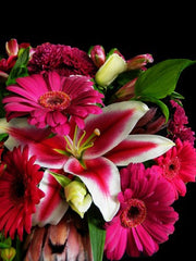Perfectly Pink Bouquet $65
